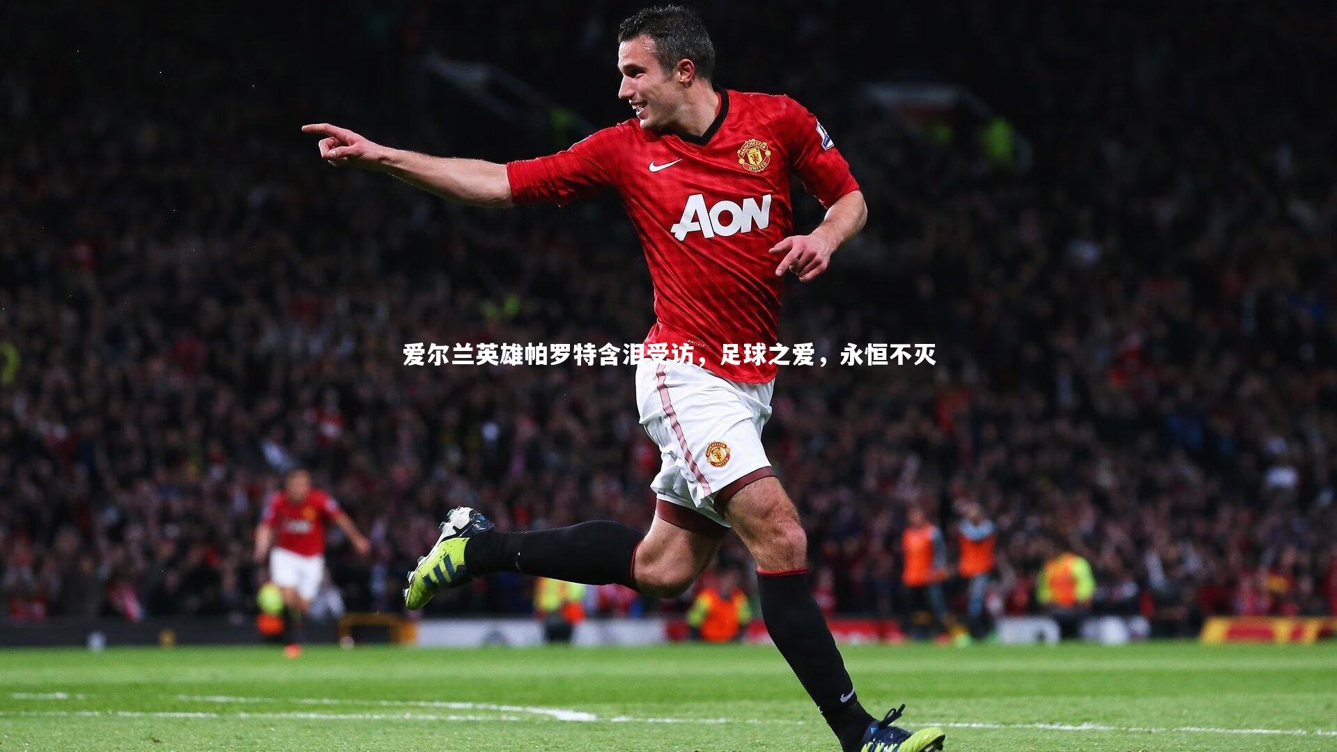 爱尔兰英雄帕罗特含泪受访，足球之爱，永恒不灭